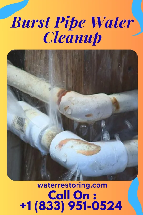 Burst Pipe Water Cleanup in Superior, WI