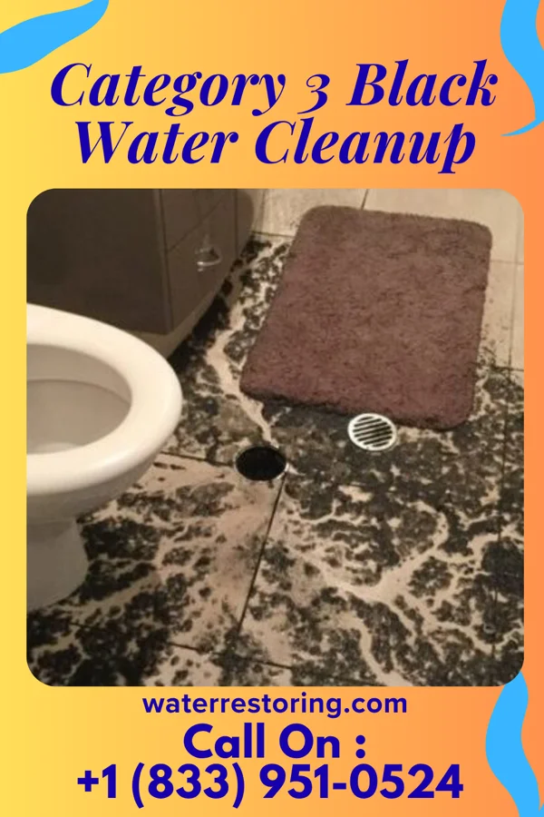Category 3 Black Water Cleanup in Superior, WI