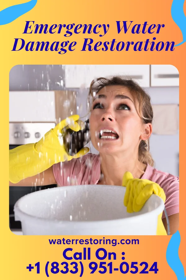 Emergency Water Damage Restoration in Superior, WI