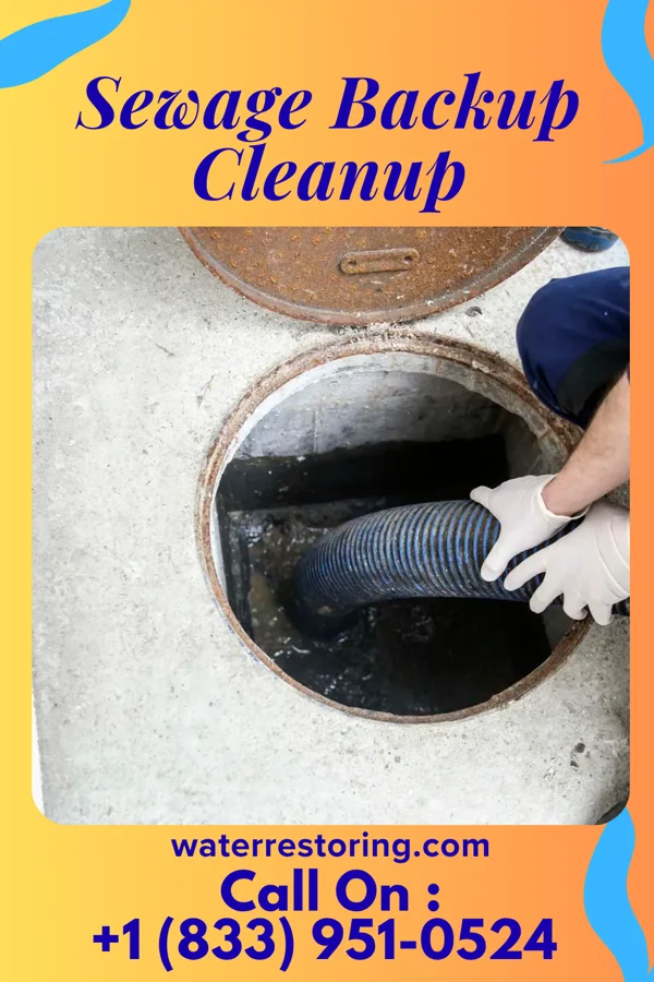 Sewage Backup Cleanup in Superior, WI