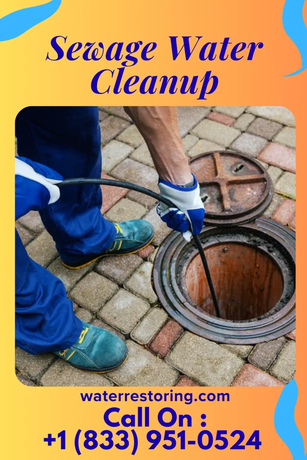 Sewage Water Cleanup in Superior, WI