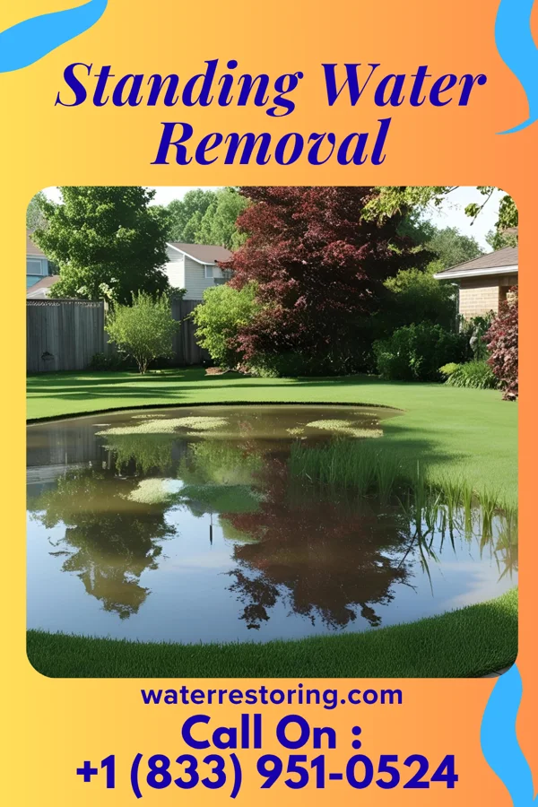 Standing Water Removal in Superior, WI